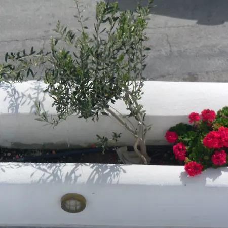 Summer Time * Fira (Santorini)