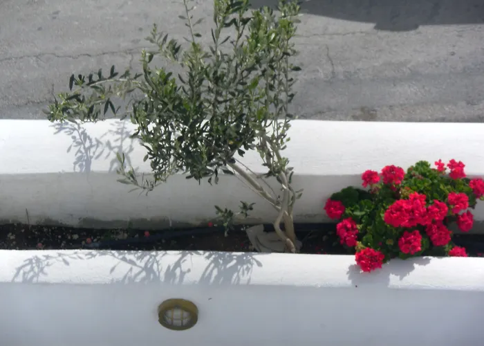 Summer Time * Fira (Santorini)