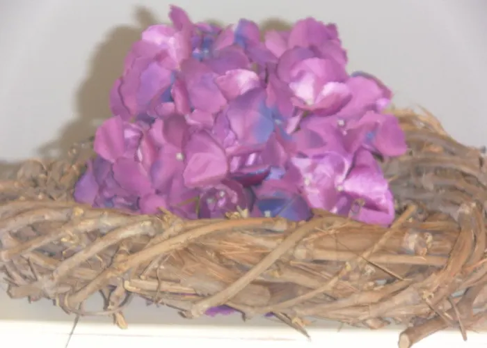 萨姆坦别墅酒店 *